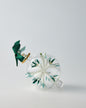Color burst ornament